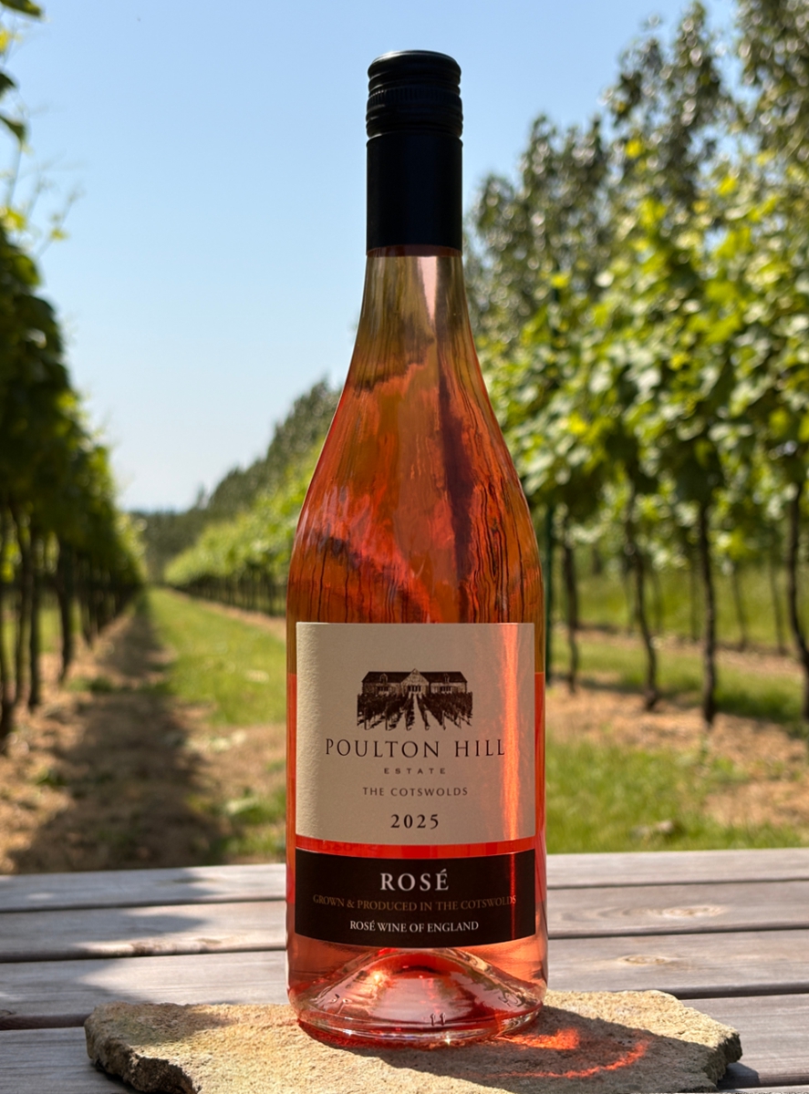 Still Rosé 2025